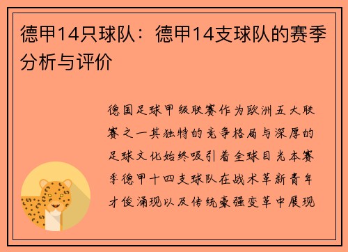德甲14只球队：德甲14支球队的赛季分析与评价